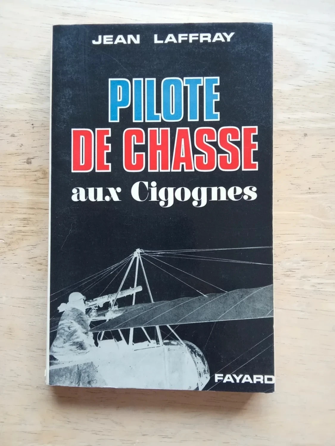 Pilote de chasse aux Cigognes, par Jean Laffray